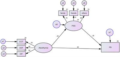 The mediating role of perceived social support: alexithymia and parental burnout in parents of children with autism spectrum disorder